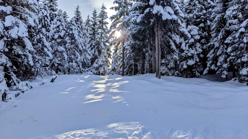 Kranzberg Pulverschnee und Sonnenschein